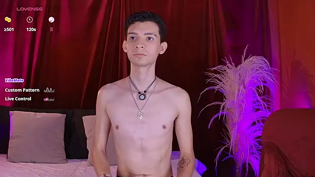 VicenteFerrer Webcam show
