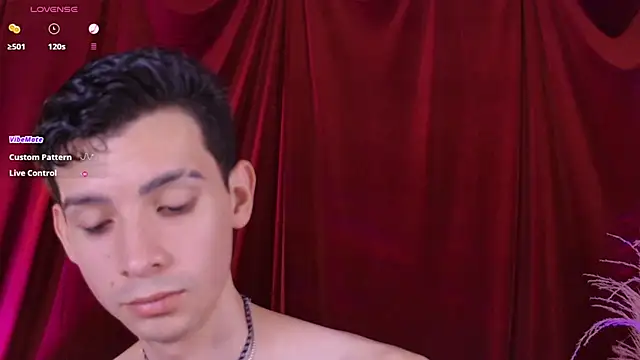 عرض كام VicenteFerrer