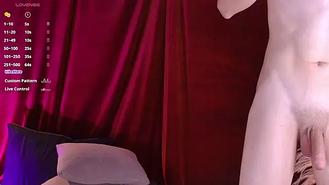 VicenteFerrer webkamerás műsora