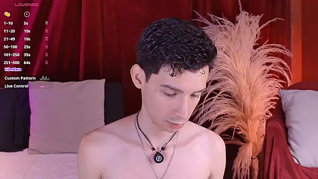 Webkamerová show VicenteFerrer