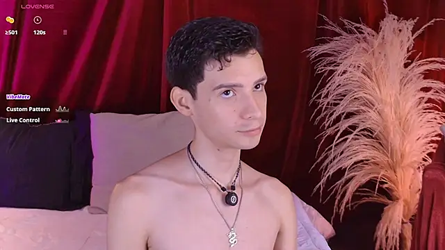 VicenteFerrer Show Webcam