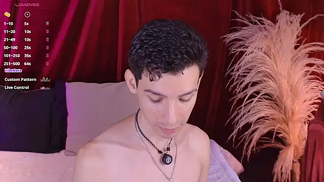 הופעת וובקאם של VicenteFerrer