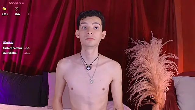 VicenteFerrer Show Webcam