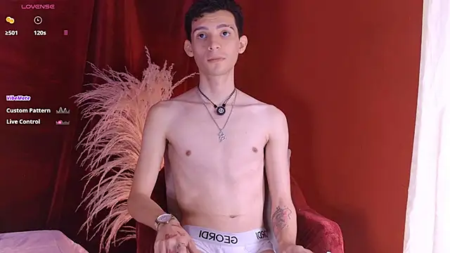 Show modela VicenteFerrer na web-kameri