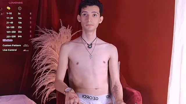 VicenteFerrer Show Webcam