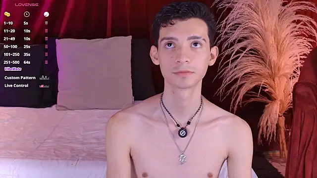 VicenteFerrer – webcam-show
