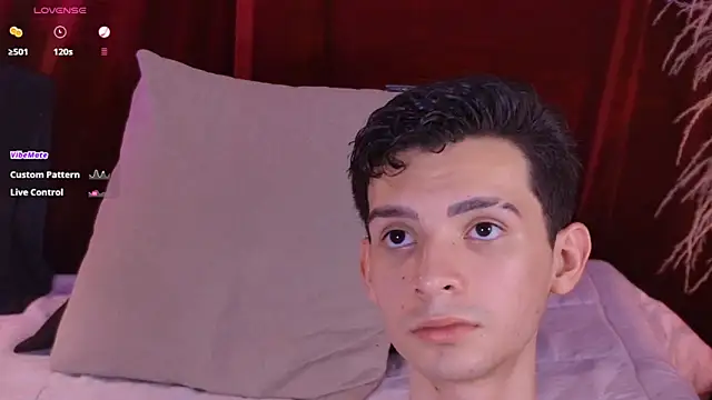 VicenteFerrer Show Webcam