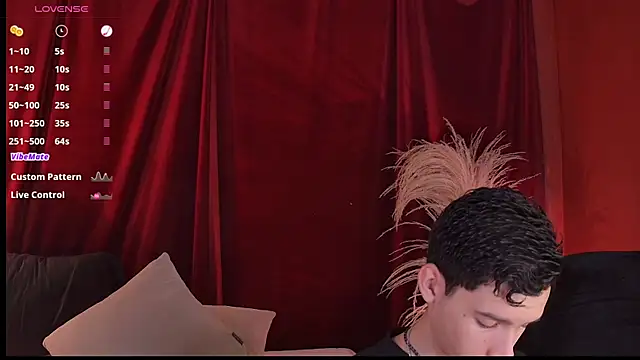 VicenteFerrer Show Webcam