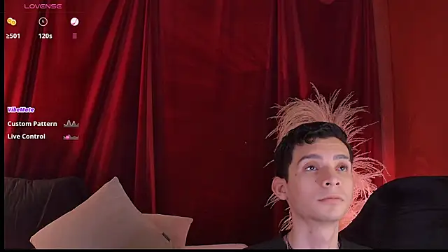 VicenteFerrer Show Webcam