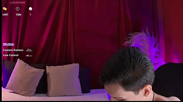 VicenteFerrer Show Webcam
