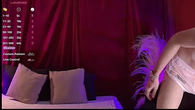 VicenteFerrer webcam show