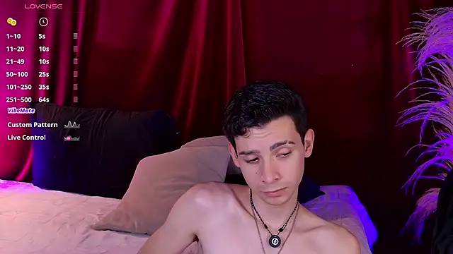 VicenteFerrer Show in webcam