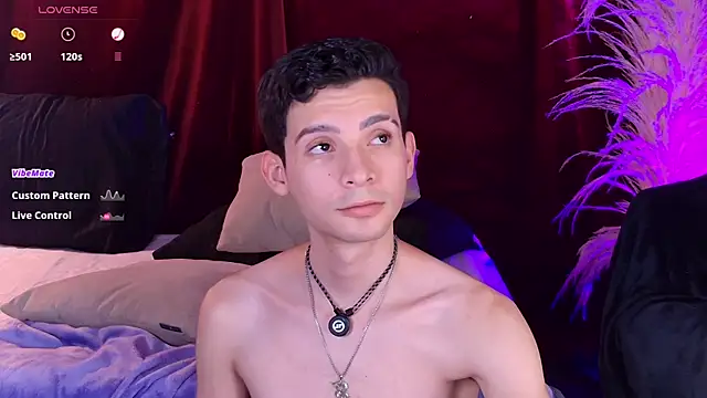 VicenteFerrer webkamerás műsora