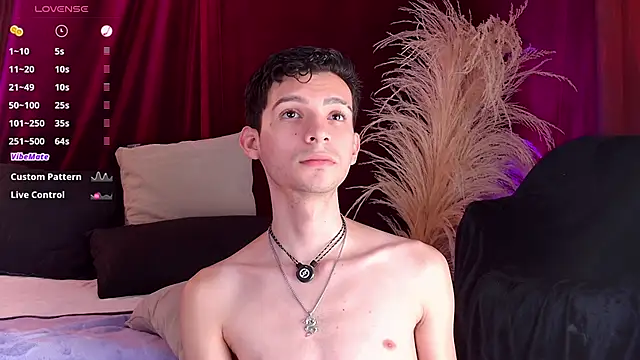 VicenteFerrer Pertunjukan Webcam