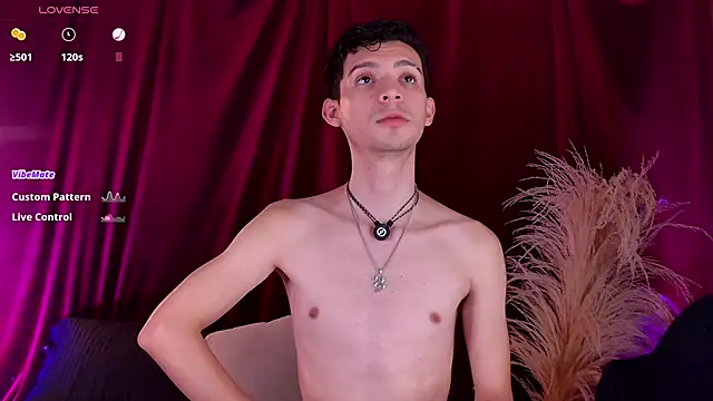 Show modela VicenteFerrer na web-kameri