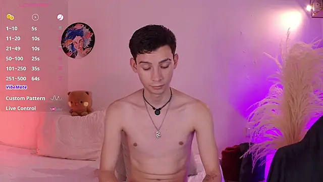 عرض كام VicenteFerrer