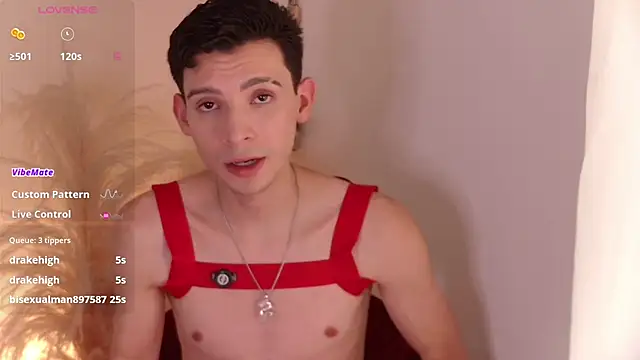 Show de VicenteFerrer na webcam