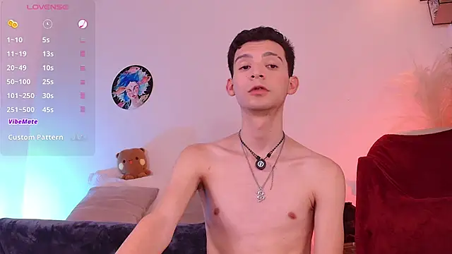 Show Webcam de VicenteFerrer