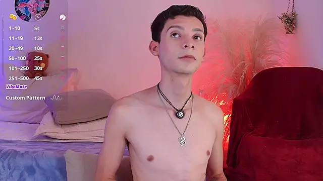 VicenteFerrer webcam show