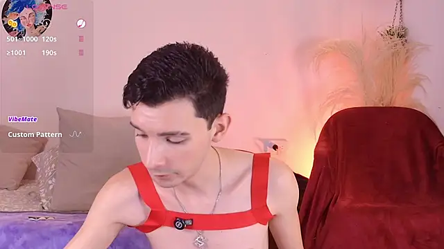 VicenteFerrer Шоу с уебкамера