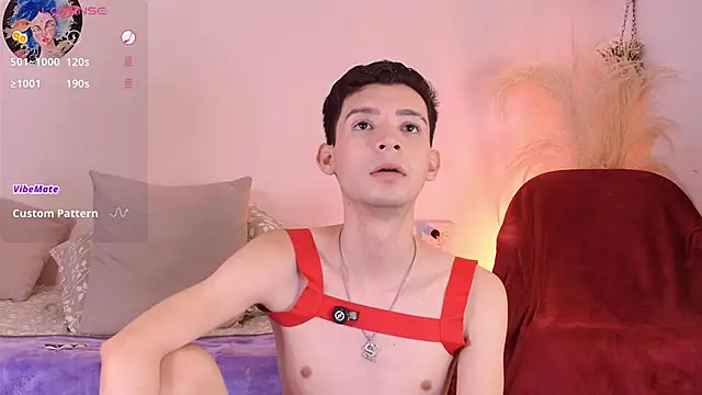 VicenteFerrer webkamerás műsora