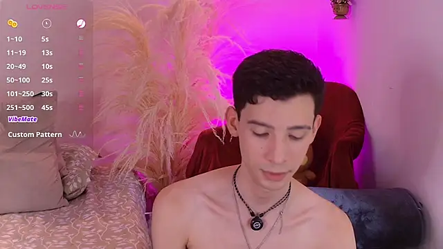 VicenteFerrer Show Webcam