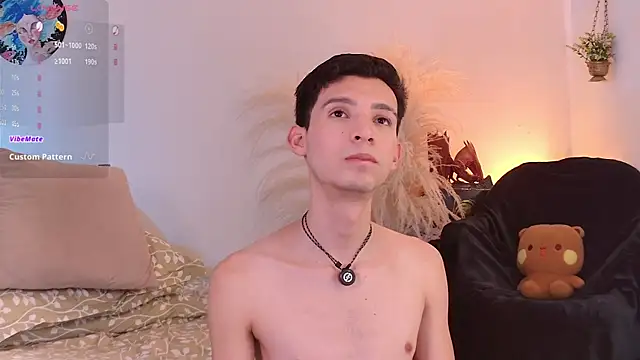VicenteFerrer Show Webcam