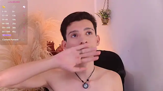 عرض كام VicenteFerrer