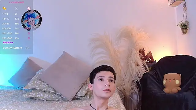 عرض كام VicenteFerrer