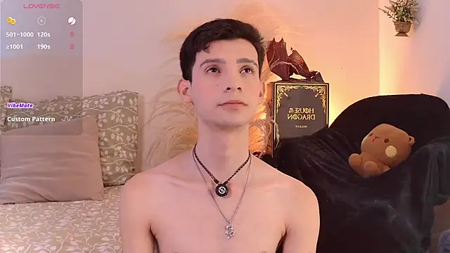 Вебкам-шоу VicenteFerrer