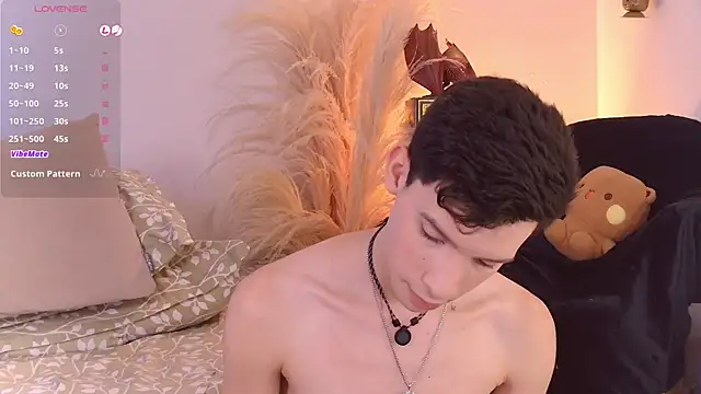 VicenteFerrer Webcam Show