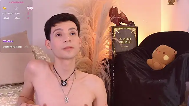 Show webcam de VicenteFerrer