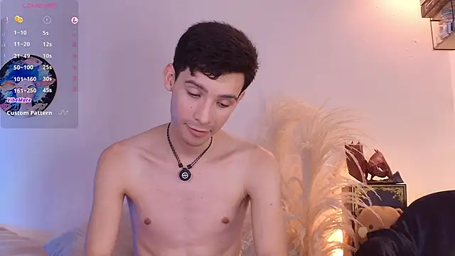 VicenteFerrer webcam show