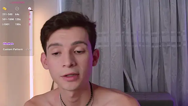 VicenteFerrer Show in webcam
