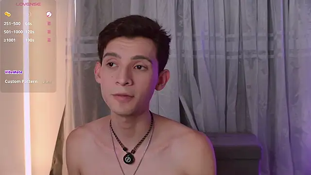 VicenteFerrer Webcam show