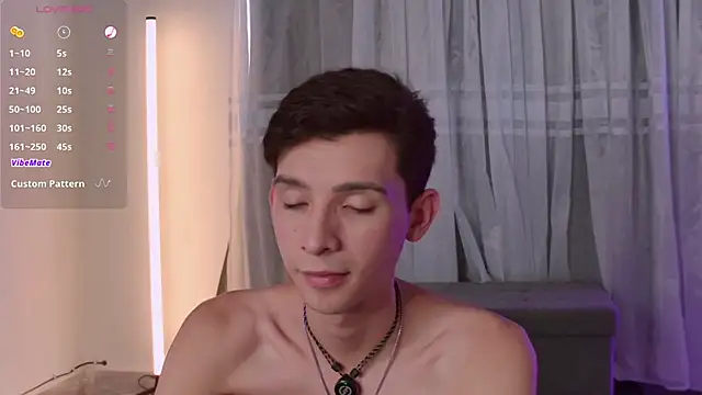 عرض كام VicenteFerrer