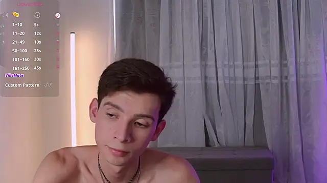 VicenteFerrer Show Webcam