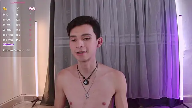 VicenteFerrer Show Webcam