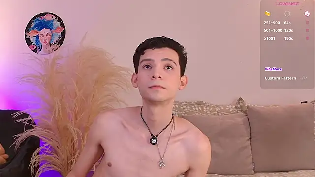 عرض كام VicenteFerrer