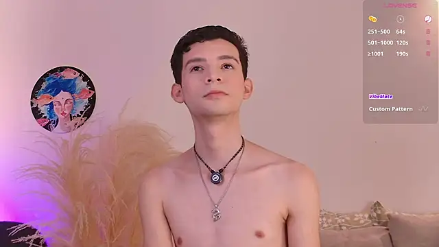 VicenteFerrer Show Webcam