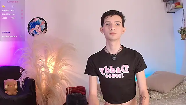 عرض كام VicenteFerrer