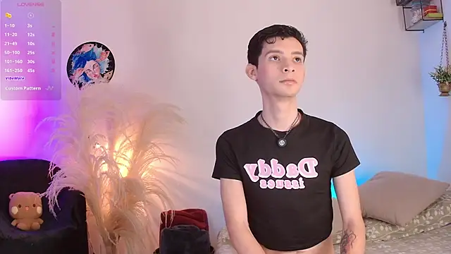عرض كام VicenteFerrer