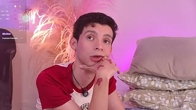 VicenteFerrer Show Webcam