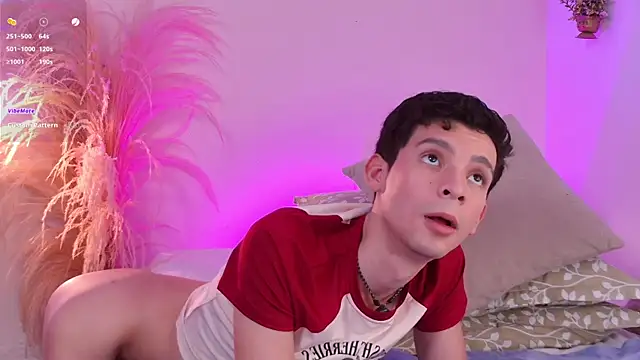 عرض كام VicenteFerrer