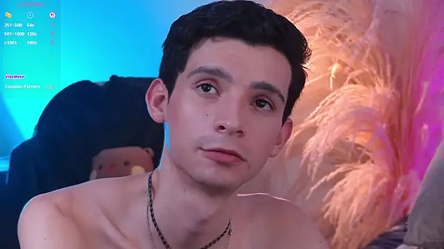 VicenteFerrer Webcam-Show