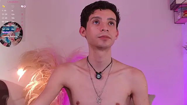 عرض كام VicenteFerrer