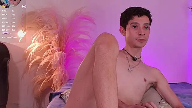 VicenteFerrer Webcam show