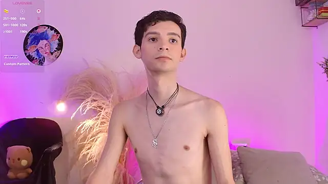 VicenteFerrer Show Webcam