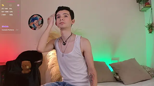 VicenteFerrer webcam show