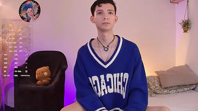 عرض كام VicenteFerrer